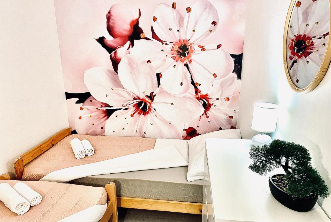 Apartment Beshtie زادار المظهر الخارجي الصورة